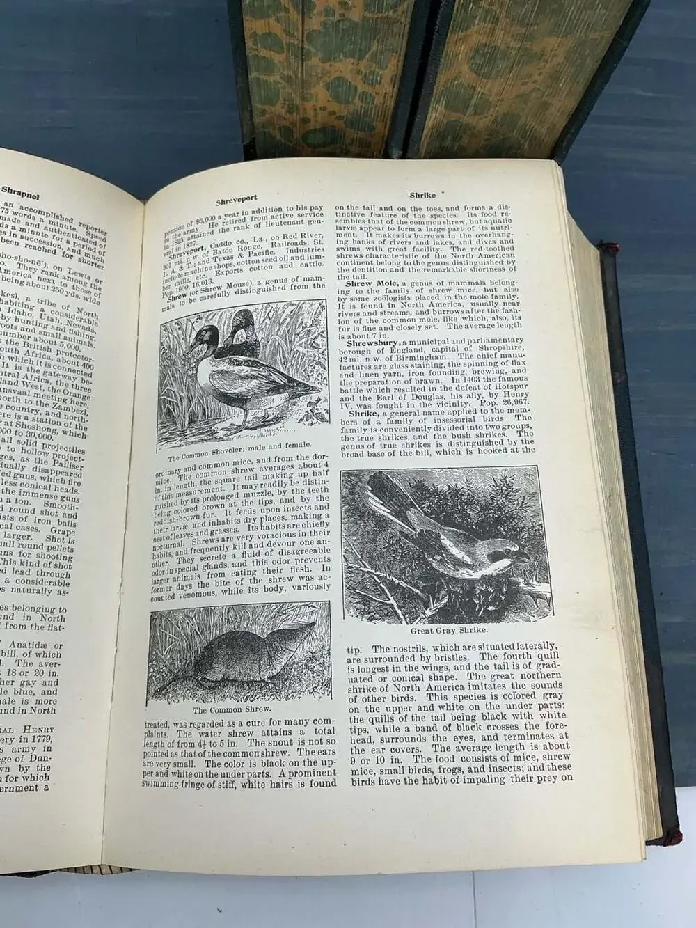 Hill's Practical Reference Library of General Knowledge 1905 Set of 3 Volumes